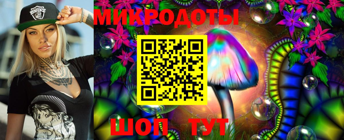 Галлюциногенные грибы Psilocybe Мариинск